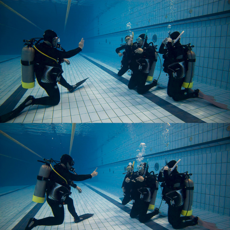 初階潛水證照課程 Open Water Diver