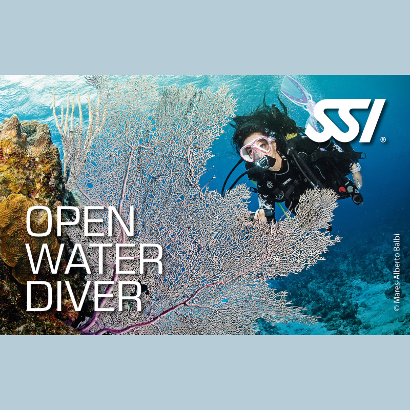初階潛水證照課程 Open Water Diver
